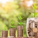 budgetpolitan money management personal growth