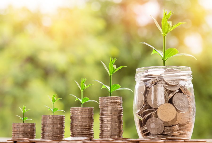 budgetpolitan money management personal growth